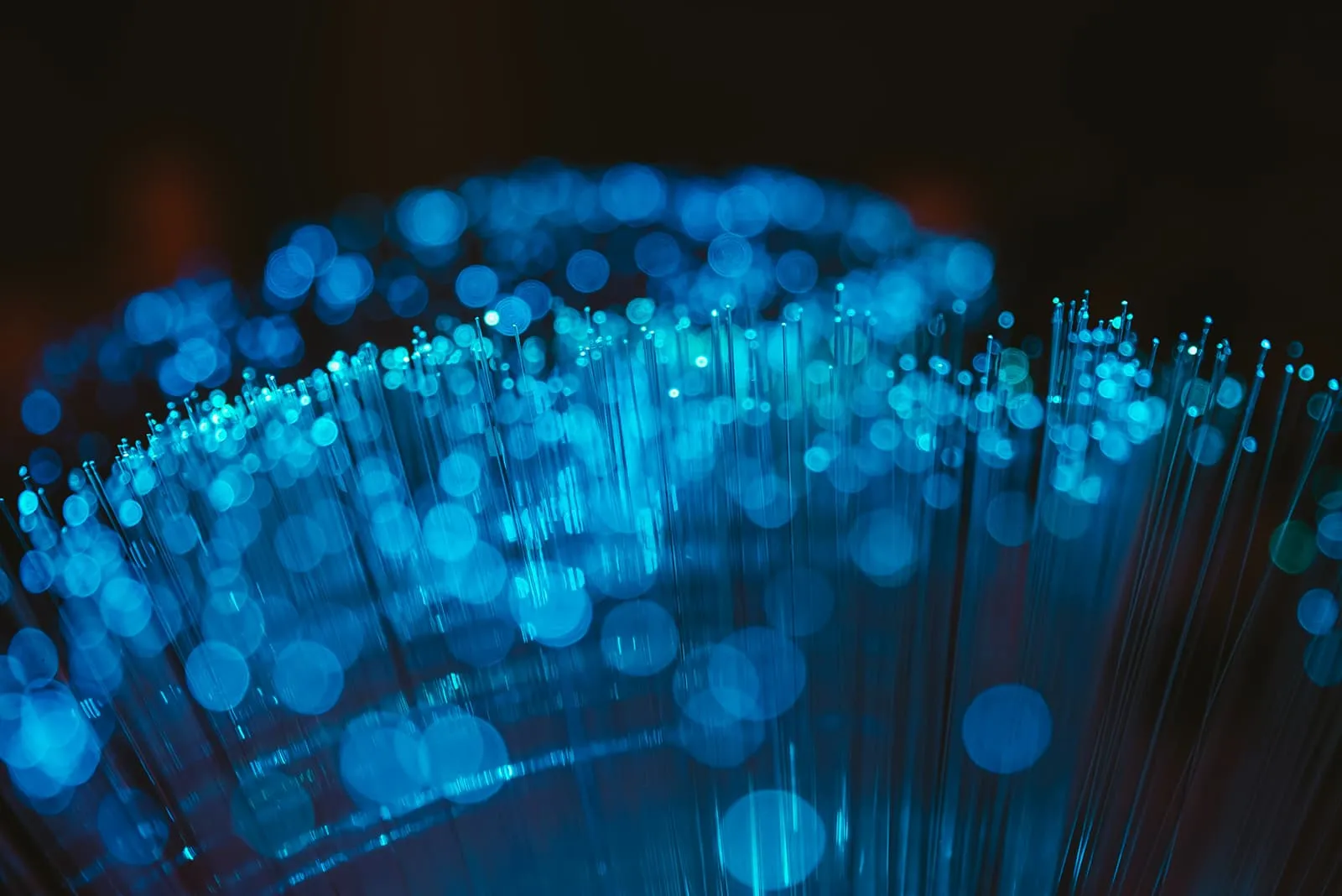Close-up macro photo of glowing blue fiber-optic strands with soft bokeh light effects against a dark background — an abstract representation of network connectivity.